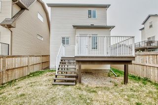 Photo 41: 106 Reunion Grove NW: Airdrie Detached for sale : MLS®# A2050151