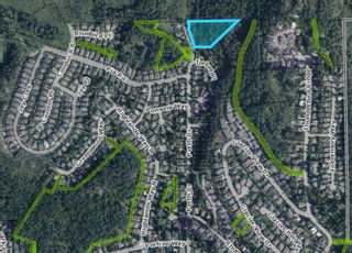 Photo 1: 40782 PERTH Drive in Squamish: Garibaldi Highlands Land for sale : MLS®# R2641258