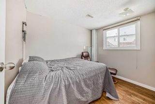 Photo 13: 223 Pinemont Road NE in Calgary: Pineridge Semi Detached (Half Duplex) for sale : MLS®# A2120307