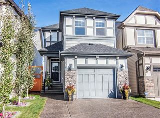 Photo 34: 268 CHAPARRAL VALLEY Mews SE in Calgary: Chaparral Detached for sale : MLS®# C4208291