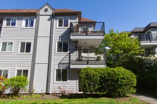 Photo 11: 110 40160 WILLOW Crescent in Squamish: Garibaldi Estates Condo for sale in "Diamond Head Place" : MLS®# R2878659