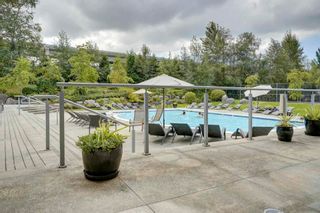 Photo 31: 19 301 KLAHANIE Drive in Port Moody: Port Moody Centre Townhouse for sale in "THE CURRENTS" : MLS®# R2601423