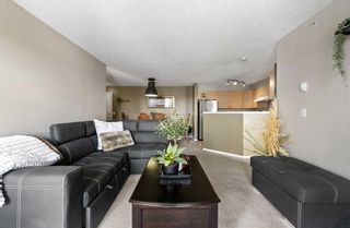 Photo 8: 2316 2600 66 Street NE in Calgary: Pineridge Apartment for sale : MLS®# A2122941