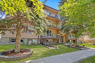Photo 19: 203 1027 1 Avenue NW in Calgary: Sunnyside Apartment for sale : MLS®# A1234036
