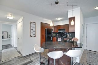 Photo 7: 1017 8880 Horton Road SW in Calgary: Haysboro Apartment for sale : MLS®# A1223060