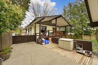 Photo 33: 954 Cowichan St in Victoria: Vi Fairfield East House for sale : MLS®# 904907