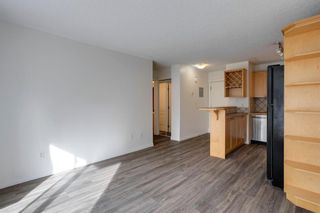 Photo 11: 205 1129 Cameron Avenue SW in Calgary: Lower Mount Royal Apartment for sale : MLS®# A1195022
