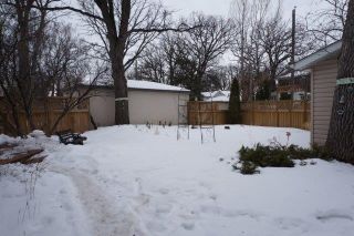 Photo 15: 267 Clare Avenue in : Riverview Single Family Detached for sale