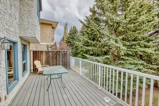 Photo 16: 51 Scenic Park Crescent NW in Calgary: Scenic Acres Detached for sale : MLS®# A2048806
