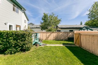 Photo 41: 4259 23St in Edmonton: Larkspur House for sale : MLS®# E4203591