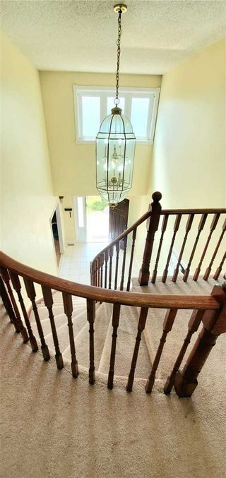 Photo 22: 30 Harold Street in Whitby: Blue Grass Meadows House (2-Storey) for lease : MLS®# E5365699
