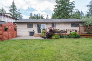 Photo 14: 20009 46A AVENUE in Langley: Langley City House for sale : MLS®# R2177503