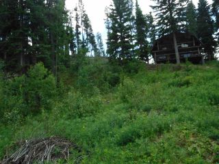 Photo 21: 3056 ELSEY Road in Williams Lake: Williams Lake - Rural West House for sale (Williams Lake (Zone 27))  : MLS®# R2472269