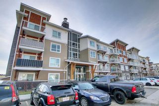Photo 30: 7116 302 Skyview Ranch Drive NE in Calgary: Skyview Ranch Apartment for sale : MLS®# A1210961