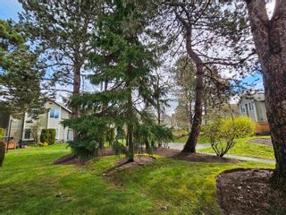 Photo 17: 16 40200 GOVERNMENT Road in Squamish: Garibaldi Estates Townhouse for sale in "Viking Ridge" : MLS®# R2869963