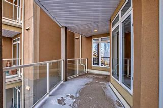 Photo 8: 204 6 Hemlock Crescent SW in Calgary: Spruce Cliff Apartment for sale : MLS®# A2110138