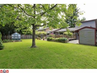 Photo 10: 14531 106TH Avenue in Surrey: Guildford House for sale (North Surrey)  : MLS®# F1216608