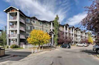 Photo 16: 3307 115 Prestwick Villas SE in Calgary: McKenzie Towne Apartment for sale : MLS®# A2085495