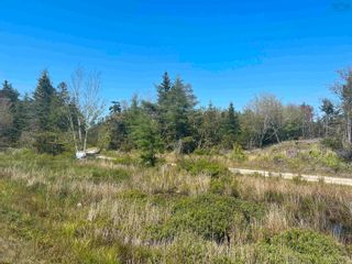 Photo 5: Lot Killam Road in Hillview: County Hwy 1 Vacant Land for sale (Yarmouth)  : MLS®# 202310691