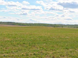 Photo 7: : Rural Mountain View County Land for sale : MLS®# C3641080
