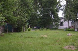 Photo 6: 2765 Maple Trail in Ramara: Brechin Property for sale : MLS®# S4318741