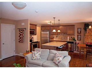 Photo 16: 509 WINDRIDGE Road SW: Airdrie House for sale : MLS®# C4050302