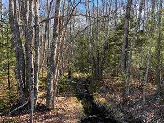 Photo 2: Lot Hall Road in South Greenwood: 404-Kings County Vacant Land for sale (Annapolis Valley)  : MLS®# 202110363
