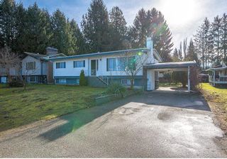 Photo 1: 33384 RAINBOW Avenue in Abbotsford: Central Abbotsford House for sale in "Moga" : MLS®# R2650233