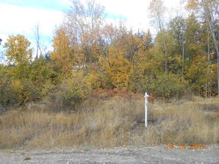 Photo 6: 3 2481 Squilax Anglemont Road in Lee Creek: Land Only for sale : MLS®# 10055686