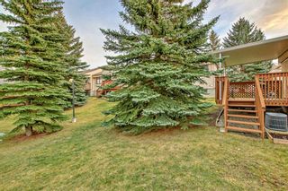 Photo 13: 59 Sandarac Circle NW in Calgary: Sandstone Valley Row/Townhouse for sale : MLS®# A2116581