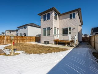 Photo 31: 39 Rainbow Falls Boulevard: Chestermere Detached for sale : MLS®# A1080652