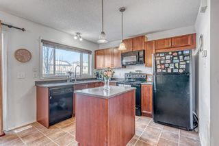 Photo 10: 225 Elgin Place SE in Calgary: McKenzie Towne Semi Detached (Half Duplex) for sale : MLS®# A2032835