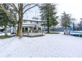 Photo 18: 32500 QUALICUM Place in Abbotsford: Central Abbotsford House for sale : MLS®# R2240933