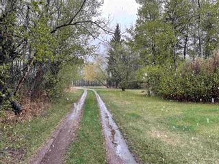 Photo 46: 60113 RGE RD 252: Rural Westlock County House for sale : MLS®# E4272453