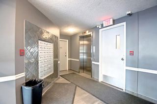 Photo 14: 604 1225 15 Avenue SW in Calgary: Beltline Apartment for sale : MLS®# A2040566