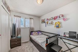 Photo 26: 195 Pinecliff Way NE in Calgary: Pineridge Detached for sale : MLS®# A2124953