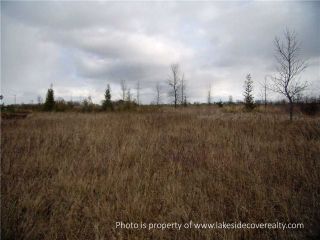 Photo 20: 2489 Concession Road 3 Road in Ramara: Brechin Property for sale : MLS®# X3371303