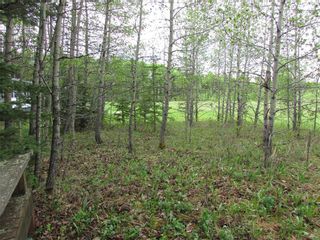 Photo 6: 103, 5227 TWP RD 320: Rural Mountain View County Land for sale : MLS®# C4299948