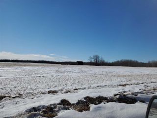 Photo 14: 50317 Rge Road 10: Rural Parkland County Rural Land/Vacant Lot for sale : MLS®# E4229985