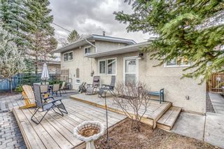 Photo 26: 828 94 Avenue SE in Calgary: Acadia Detached for sale : MLS®# A1203471