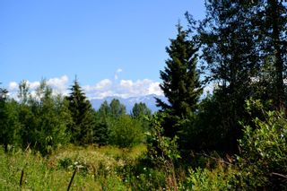 Photo 8: 1270 MORGAN Road in Smithers: Smithers - Rural Land for sale in "MORGAN MEADOWS" (Smithers And Area)  : MLS®# R2714118