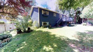 Photo 18: 40624 PIEROWALL Place in Squamish: Garibaldi Highlands House for sale in "Garibaldi Highlands" : MLS®# R2304541
