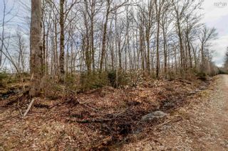 Photo 3: Lot N5 Nature Haven Road in Lake Paul: Kings County Vacant Land for sale (Annapolis Valley)  : MLS®# 202207660