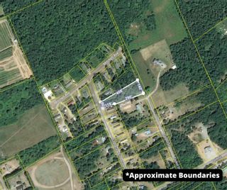 Photo 5: Lot 2012-1 Pine Avenue in Aylesford: Kings County Vacant Land for sale (Annapolis Valley)  : MLS®# 202227603