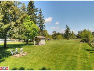 Photo 9: 2650 204 Street in Langley: Brookswood Langley House for sale in "South Langley/Fernridge" : MLS®# F1209267