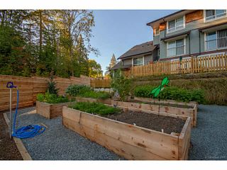 Photo 10: 56 23651 132ND Avenue in Maple Ridge: Silver Valley Townhouse for sale in "MYRON'S MUSE AT SILVER VALLEY" : MLS®# V1131911