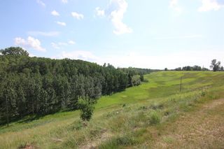 Photo 38: 80 Cherry Valley Court in Rural Rocky View County: Rural Rocky View MD Detached for sale : MLS®# A1178972