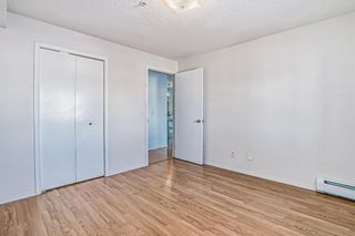 Photo 15: 1216 6224 17 Avenue SE in Calgary: Red Carpet Apartment for sale : MLS®# A2011855