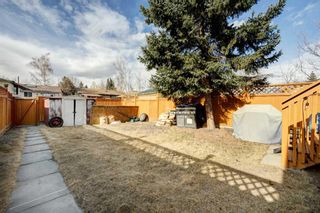 Photo 41: 209 Aboyne Place NE in Calgary: Abbeydale Semi Detached (Half Duplex) for sale : MLS®# A2080878