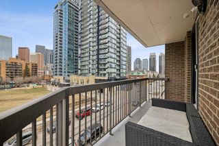 Photo 19: 401 215 14 Avenue SW in Calgary: Beltline Apartment for sale : MLS®# A2123080